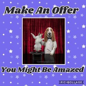 🐕❤ I Love Offers❣